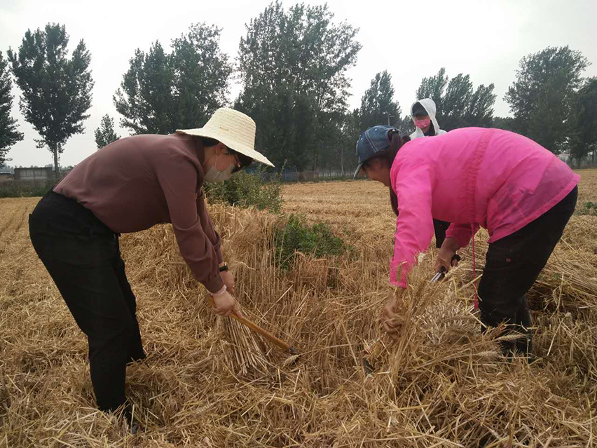 第四张xiugai.jpg 第四张xiugai.jpg