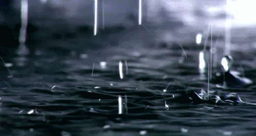 微信图片_20170722092749.gif 微信图片_20170722092749.gif